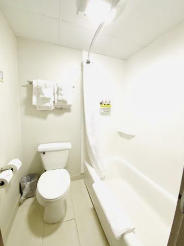 Hotel Comfort Inn & Suites Albany