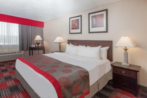 Albany Ramada Plaza Hotel