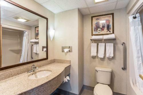 Holiday Inn Express Hotel & Suites Findley Lake