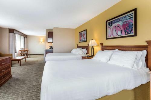 Holiday Inn Express Hotel & Suites Findley Lake