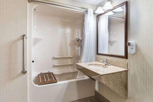 Holiday Inn Express Hotel & Suites Findley Lake
