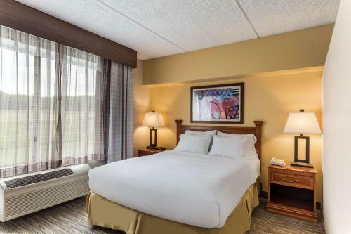 Holiday Inn Express Hotel & Suites Findley Lake