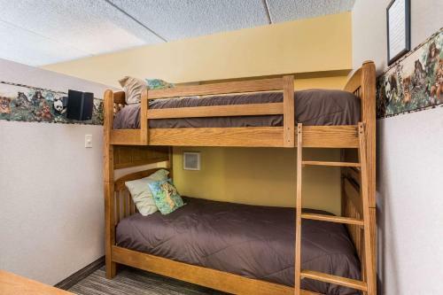 Holiday Inn Express Hotel & Suites Findley Lake