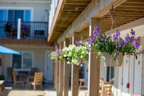 Motel Aqualina Inn Montauk