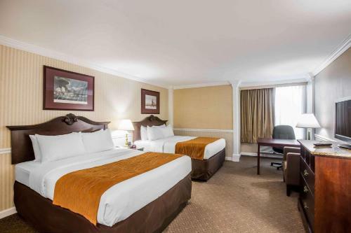 Hotel Comfort Inn & Suites Plattsburgh