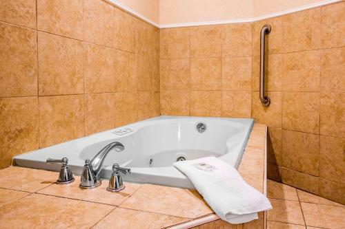 Hotel Comfort Inn & Suites Plattsburgh