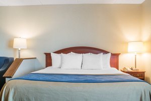 Hotel Comfort Inn Rochester - Greece