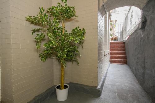 Luxurious Three Bedroom Apartment