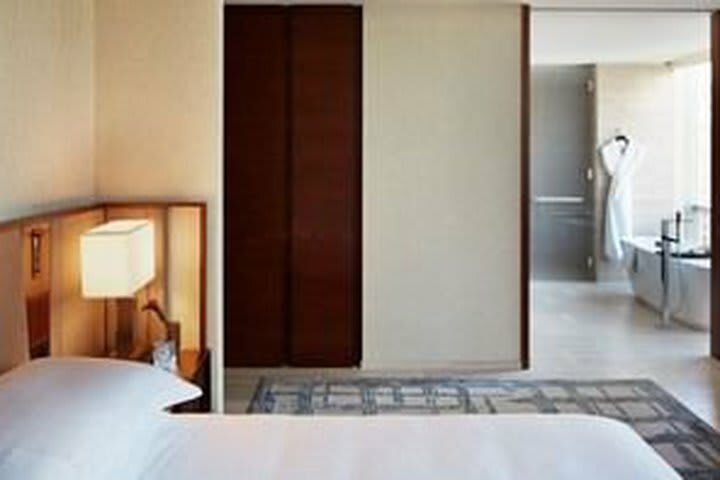 Hotel Park Hyatt New York