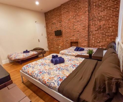 New York Apartments