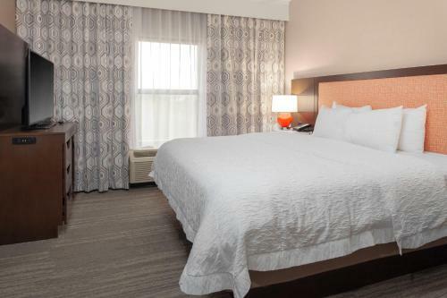 Hotel Hampton Inn & Suites Charlotte Motor Speedway Boulevard-concord