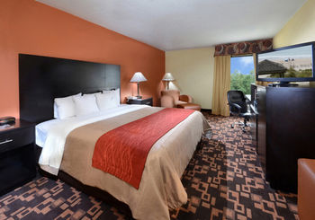 Hotel Comfort Inn University Durham