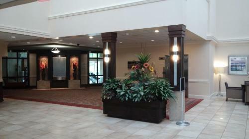 Hotel Doubletree By Hilton Fayetteville