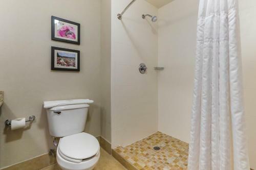 Hotel Comfort Suites Gastonia