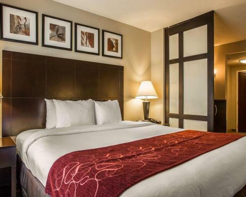 Hotel Comfort Suites Huntersville
