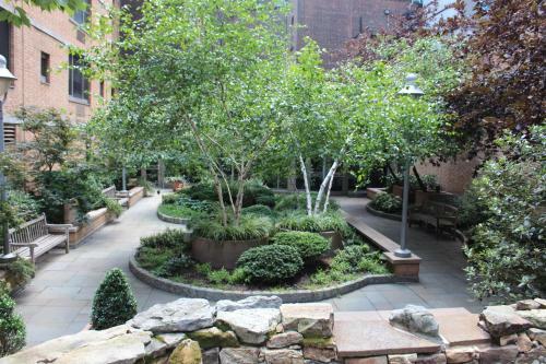 Apartamento Ivy Tower Suites In Times Square