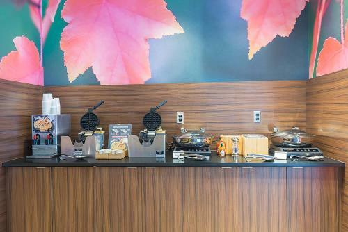 Hotel Fairfield Inn & Suites By Marriott Jamestown