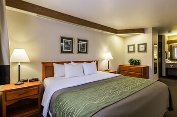 Hotel Comfort Inn Minot