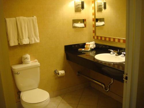 The Skyline Hotel New York