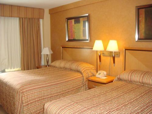 The Skyline Hotel New York