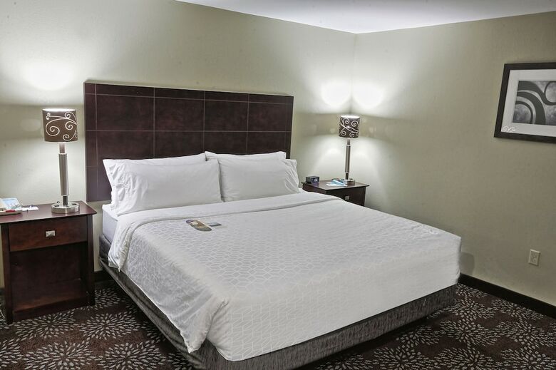 Hotel Holiday Inn Express Pittsburgh West - Greentree