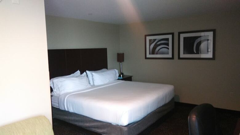 Hotel Holiday Inn Express Pittsburgh West - Greentree