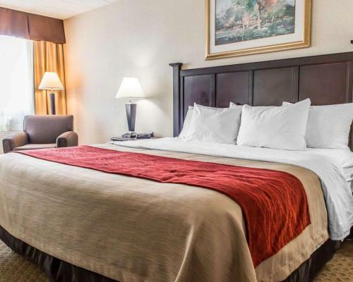 Hotel Comfort Inn Somerset