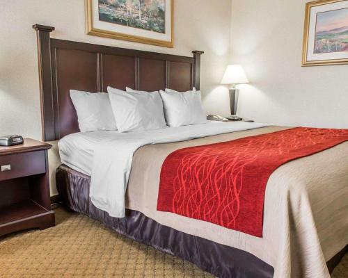 Hotel Comfort Inn Somerset