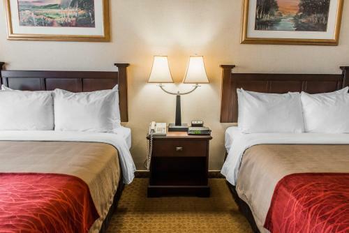 Hotel Comfort Inn Somerset