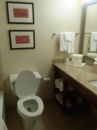 Hotel Comfort Inn Somerset