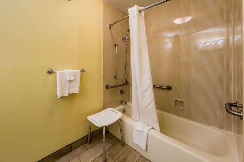 Hotel Howard Johnson Anderson