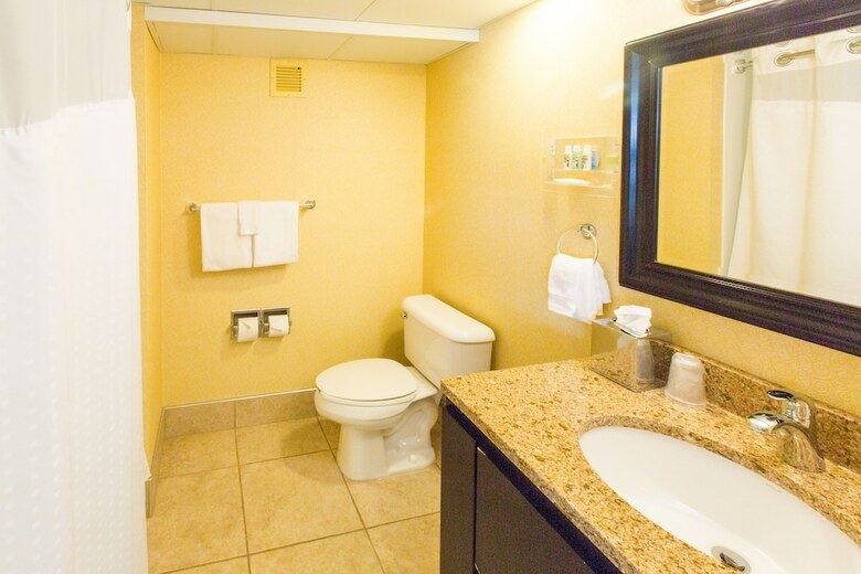 Hotel Holiday Inn Sioux Falls-city Center