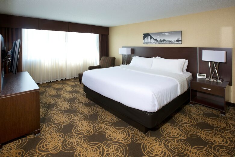 Hotel Holiday Inn Sioux Falls-city Center