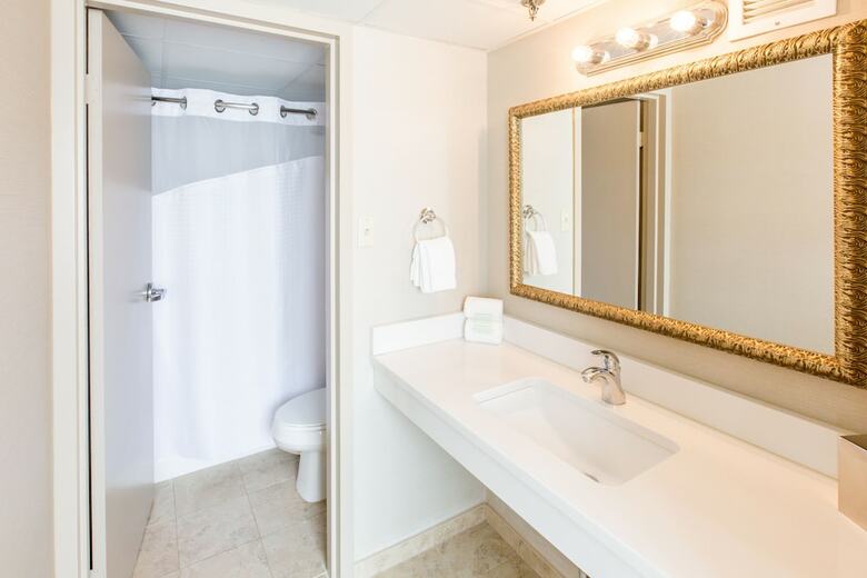 Hotel Holiday Inn Sioux Falls-city Center