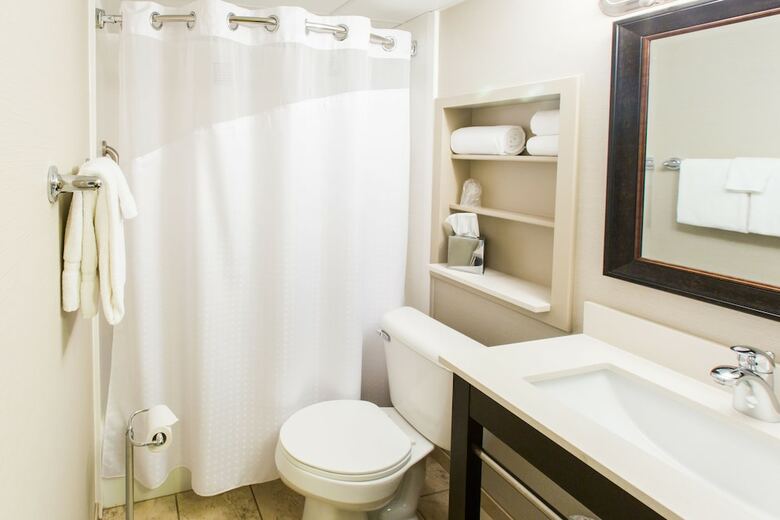 Hotel Holiday Inn Sioux Falls-city Center