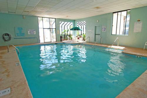 Aparthotel Ocean Forest Plaza By Palmetto Vacation Rentals