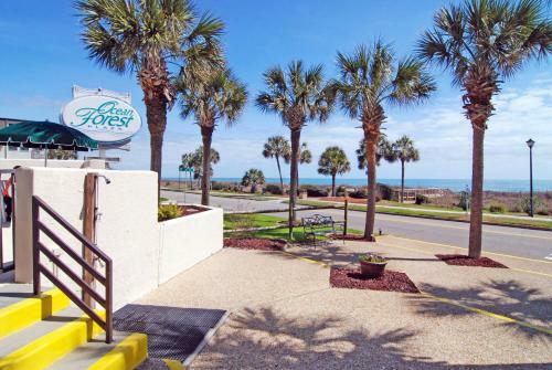 Aparthotel Ocean Forest Plaza By Palmetto Vacation Rentals
