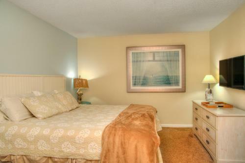 Aparthotel Ocean Forest Plaza By Palmetto Vacation Rentals