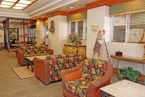 Aparthotel Ocean Forest Plaza By Palmetto Vacation Rentals