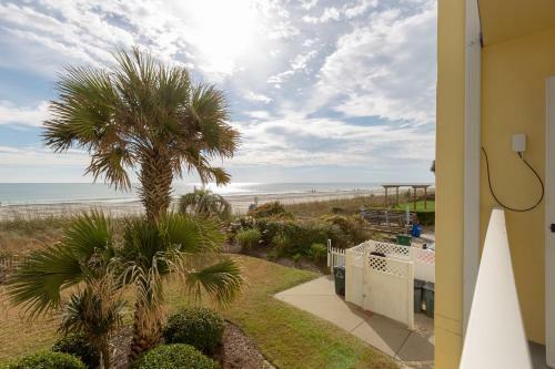 Hotel Jade Tree Cove