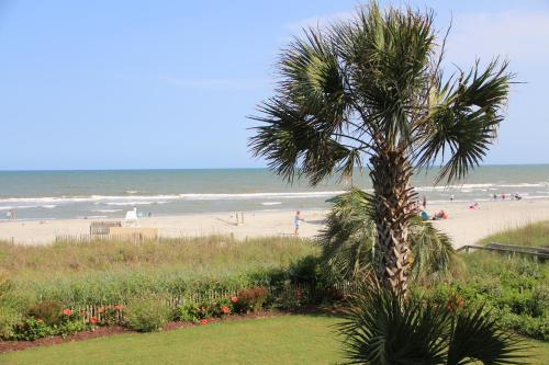Hotel Jade Tree Cove
