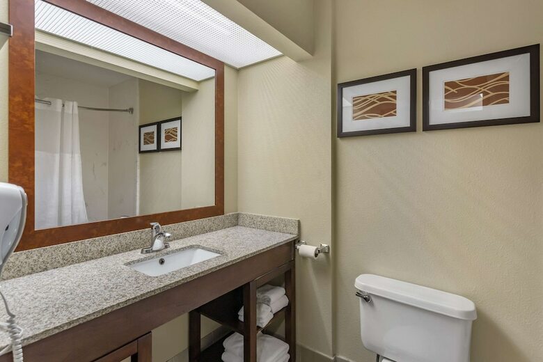 Hotel Comfort Suites At Rivergate Mall