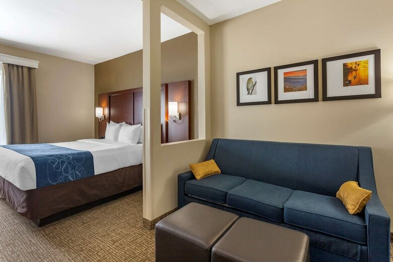Hotel Comfort Suites At Rivergate Mall
