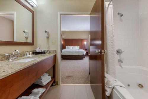 Hotel Comfort Suites Johnson City
