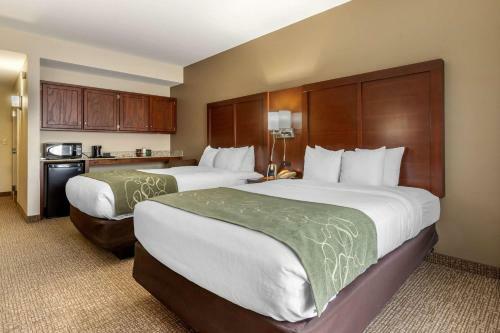 Hotel Comfort Suites Johnson City