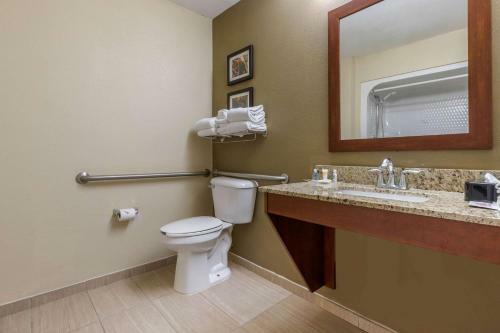 Hotel Comfort Suites Johnson City