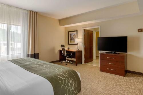 Hotel Comfort Suites Johnson City