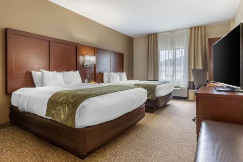 Hotel Comfort Suites Johnson City