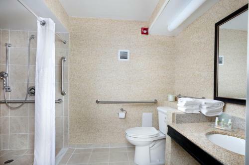 Hotel Holiday Inn Johnson City