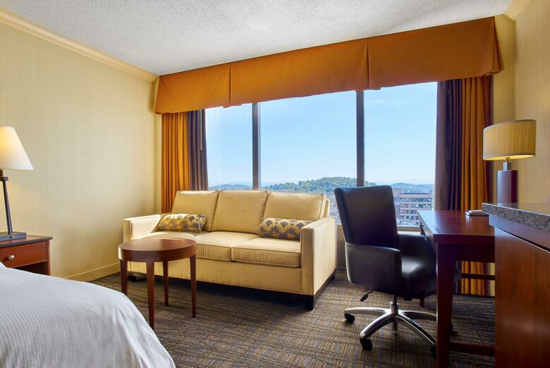 Hotel Hilton Knoxville